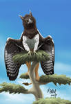 Gryphon by avator