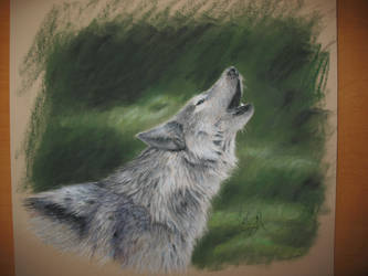 Pastel Wolf
