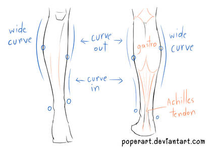 lower leg tutorial