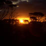 Daybreak at Emu Bay