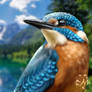 Kingfisher