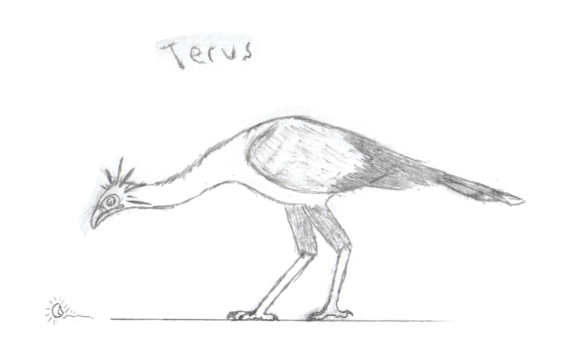 Terus