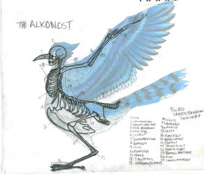 Mythological Creature - The Alkonost