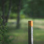 Weathered