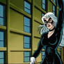 Black Cat hanging