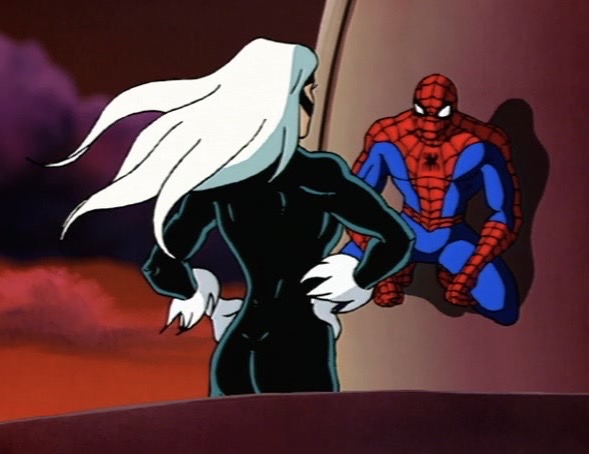 Black Cat back muscles