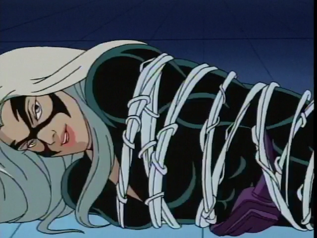 Black Cat tied up in webs