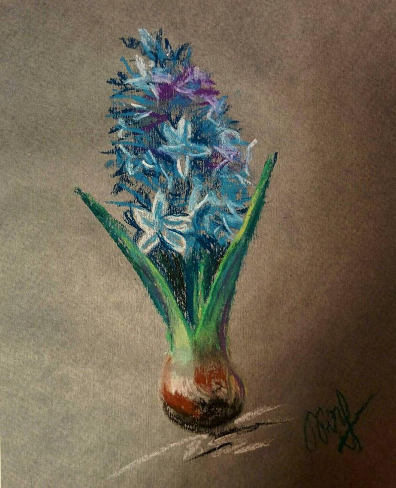 Hyacinth in soft pastels