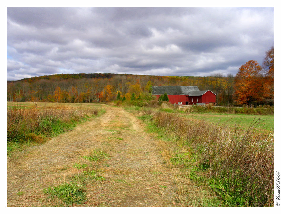 Traipsing Around by WaitingFor by naturephotographer on DeviantArt