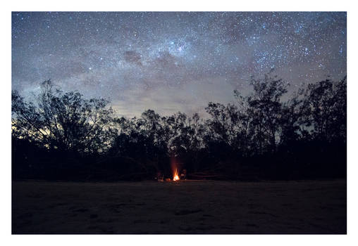 Cape Hillsborough Night Sky