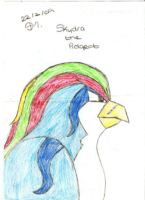 Skydra the Pidgeot by Lightning09 on DeviantArt
