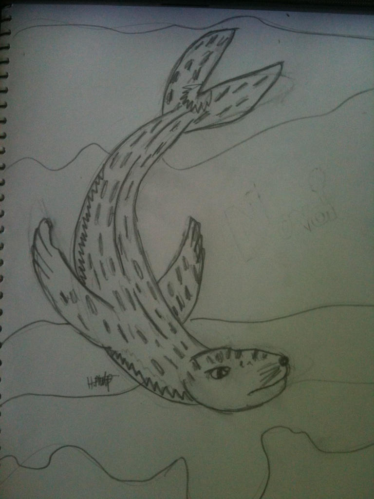 Nova by Tae-Rai on DeviantArt