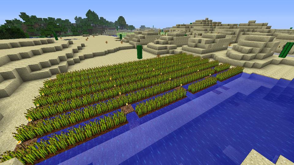 Minecraft Large Wheat Farm Java Map Wheat Farm Minecraft