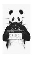 my arrested selfdrawn panda :D