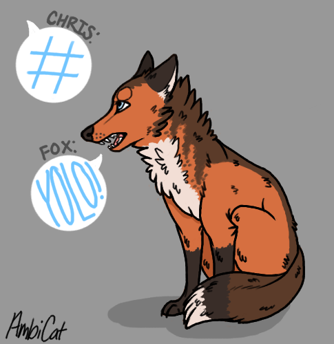 Yolo Fox