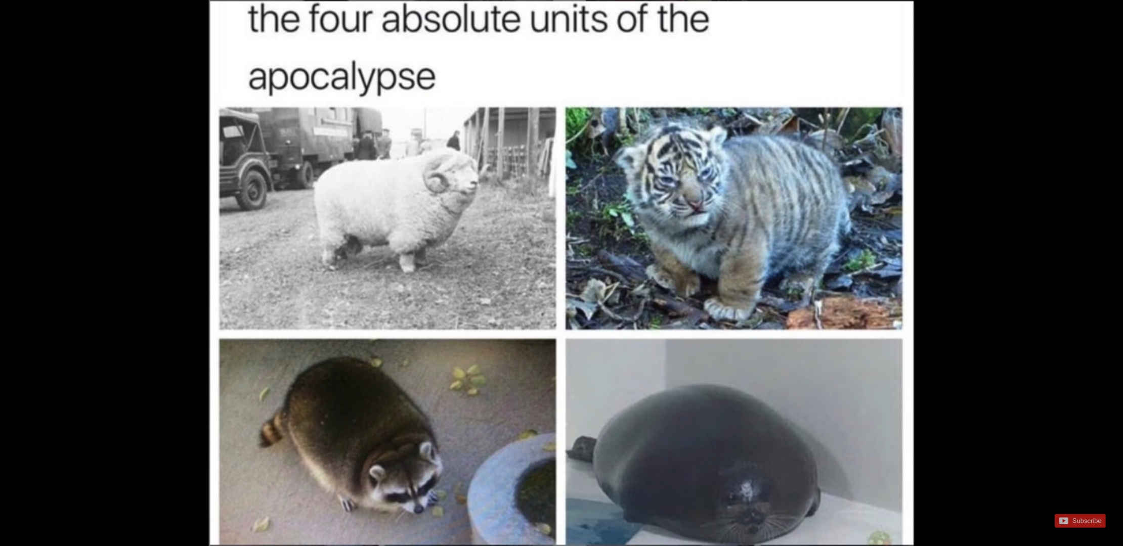 Absolute Unit Twitter Absolute Units by EricSonic18 on DeviantArt