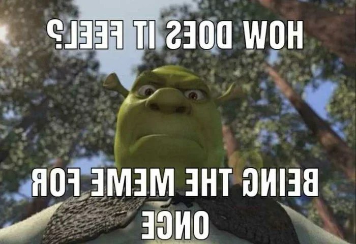 A Shrek Meme by wreny2001 on DeviantArt