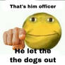 He let the dogs out