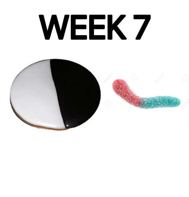 Week 7 by EricSonic18 on DeviantArt