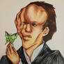 Merrick With Moth in markers