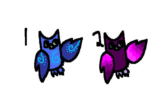 Owl adopts ( Free )