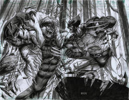 SABRETOOTH vs WOLVERINE