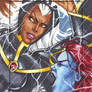 Storm vs. Mystique, MHV