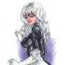 Black Cat 2011