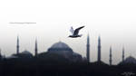 City under my wings by Metkan