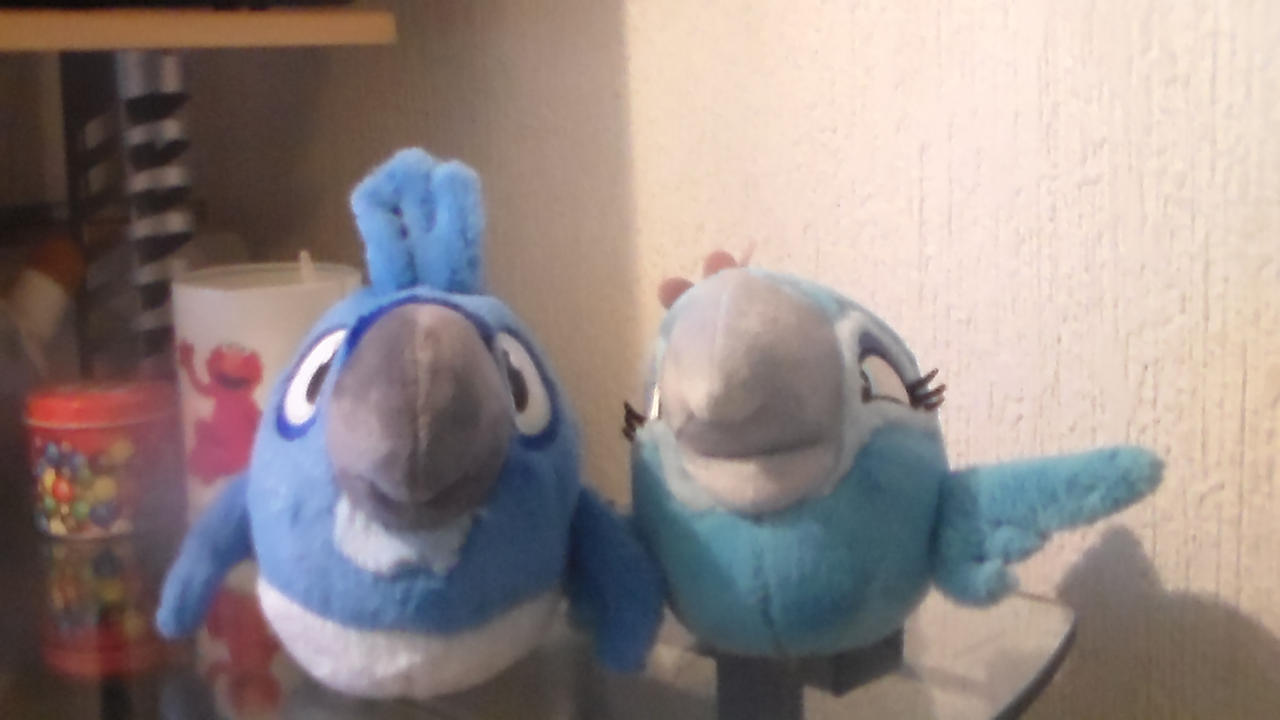 Angry Birds Rio Jewel And Blu Plusies M M By Bahamunt Fernix 87 On Deviantart Angry Birds Rio Jewel And Blu Plusies M M By Bahamunt Fernix 87 On Deviantart