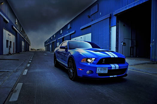 Mustang Shelby