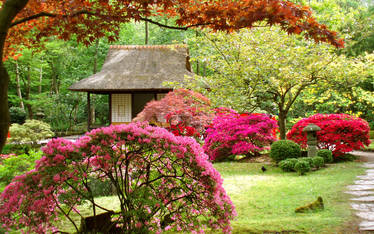 Japanese Garden