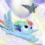 Rainbow Dash's stealth friend.