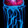 The Universe is a Jellyfish - new version