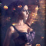 Lost in a Dream