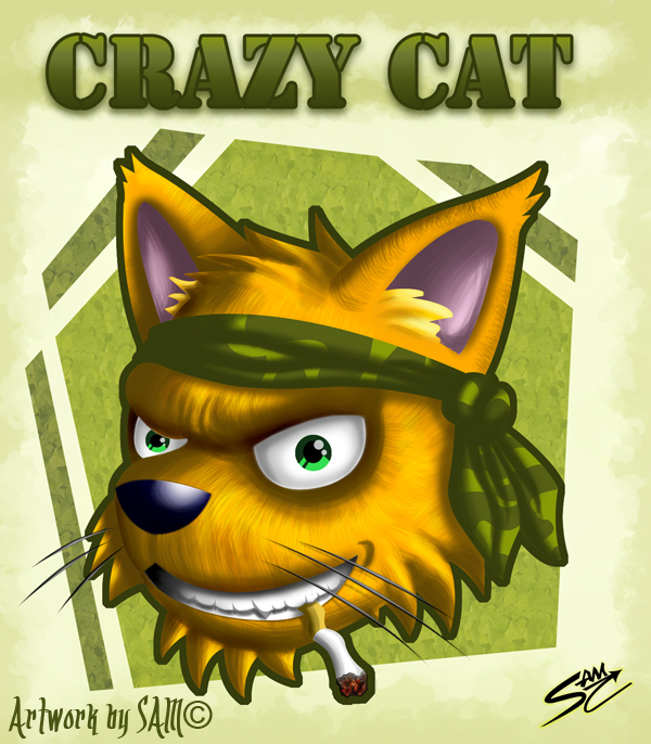 CrazyCat