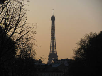 Paris,Eiffel Tower 5