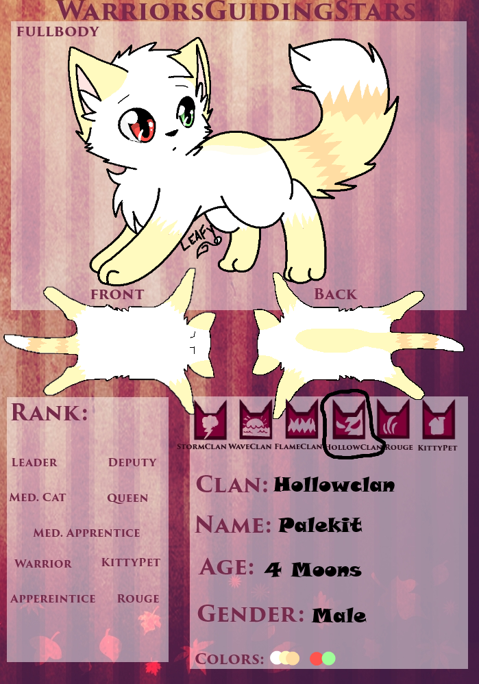 Palepaw Application Remake