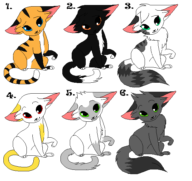 six cat adoptable OPEN