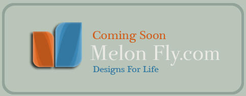 melon fly