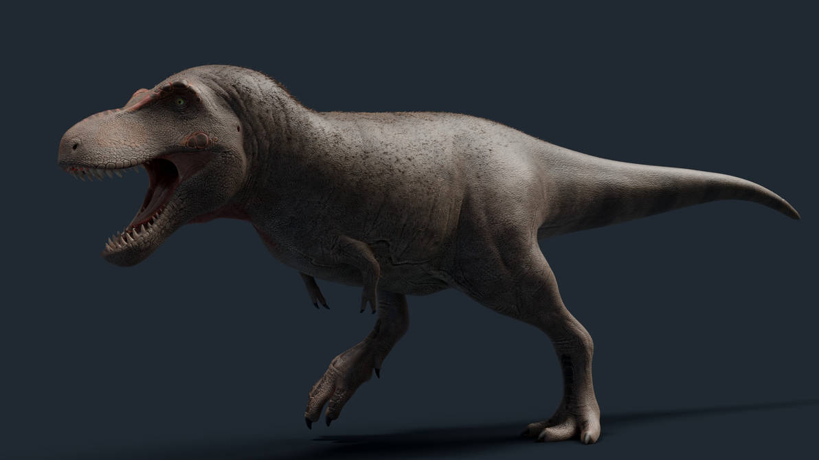 New Tyrannosaurus Rex Model by DerpyDuckArt on DeviantArt