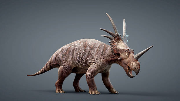 Styracosaurus 3D Reconstruction