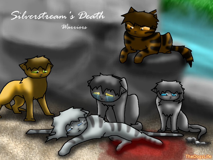 Slverstreams Death Silverstream's Death by TheDogzLife on DeviantArt