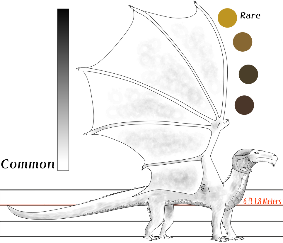 Ecology Profile: Drake by AidenTheHumanY on DeviantArt