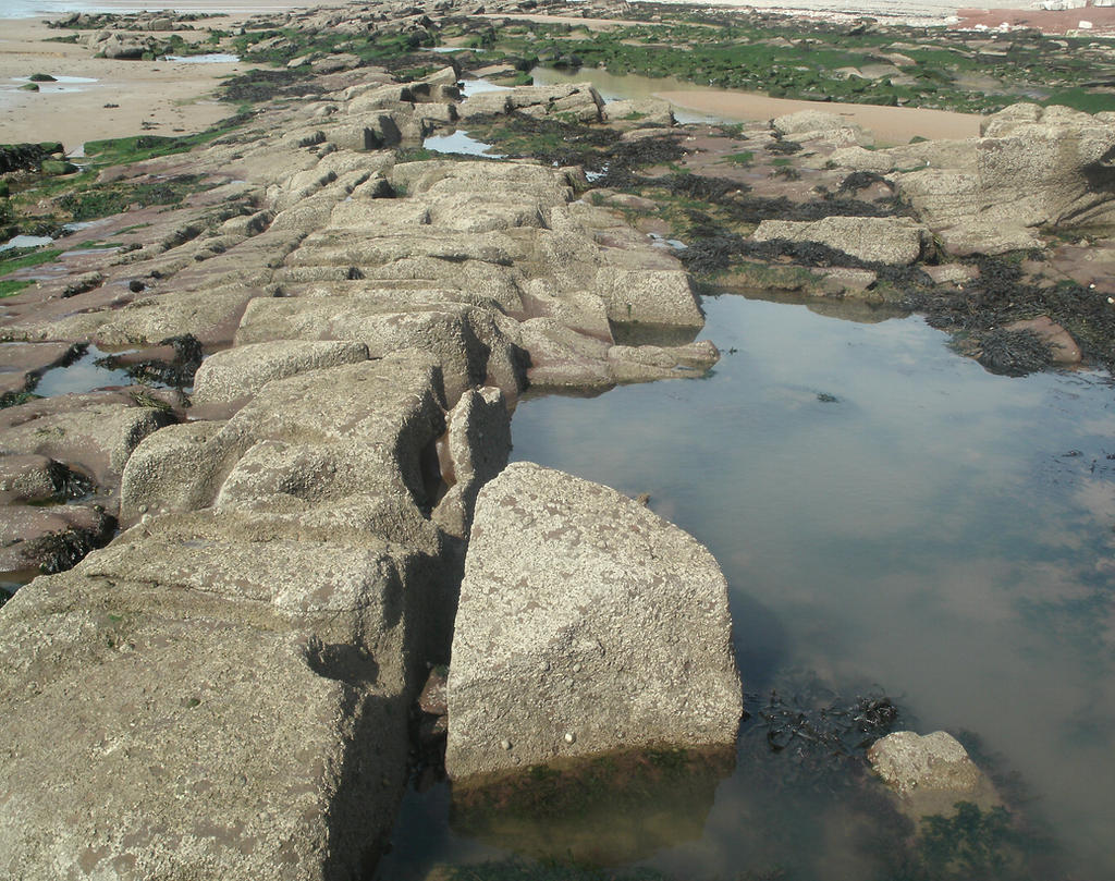 Rockpool Rockpool by Roari-O-Rake on DeviantArt