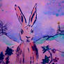 Christmas Hare