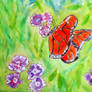 love is like a Butterfly