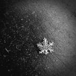 Snowflake by FlorAArT