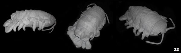 Isopod Plushie