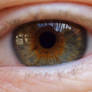 eye